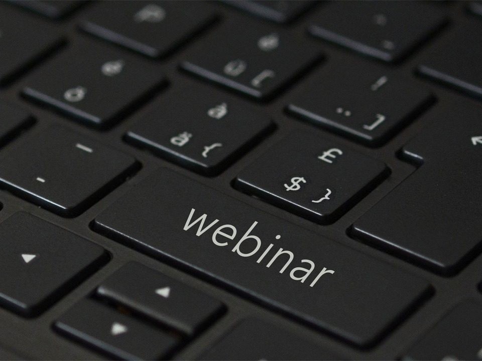 Webinar on trademark rights protection during customs clearance of goods